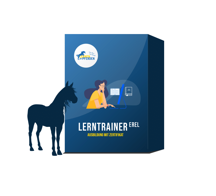 lernenmitpferden-legasthenietrainer