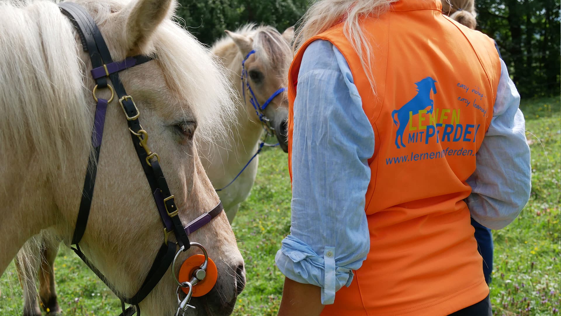 Slider-Legasthenie-Training