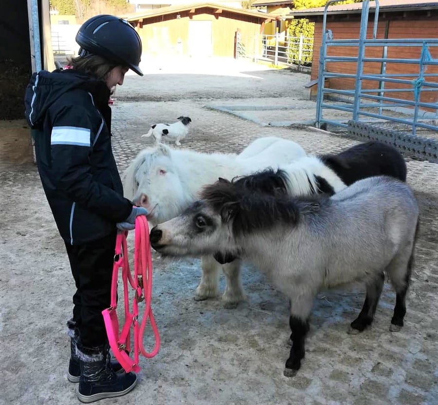 Kind und Minipferd