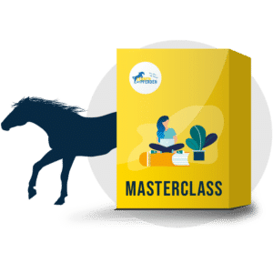lernenmitpferden-masterclass