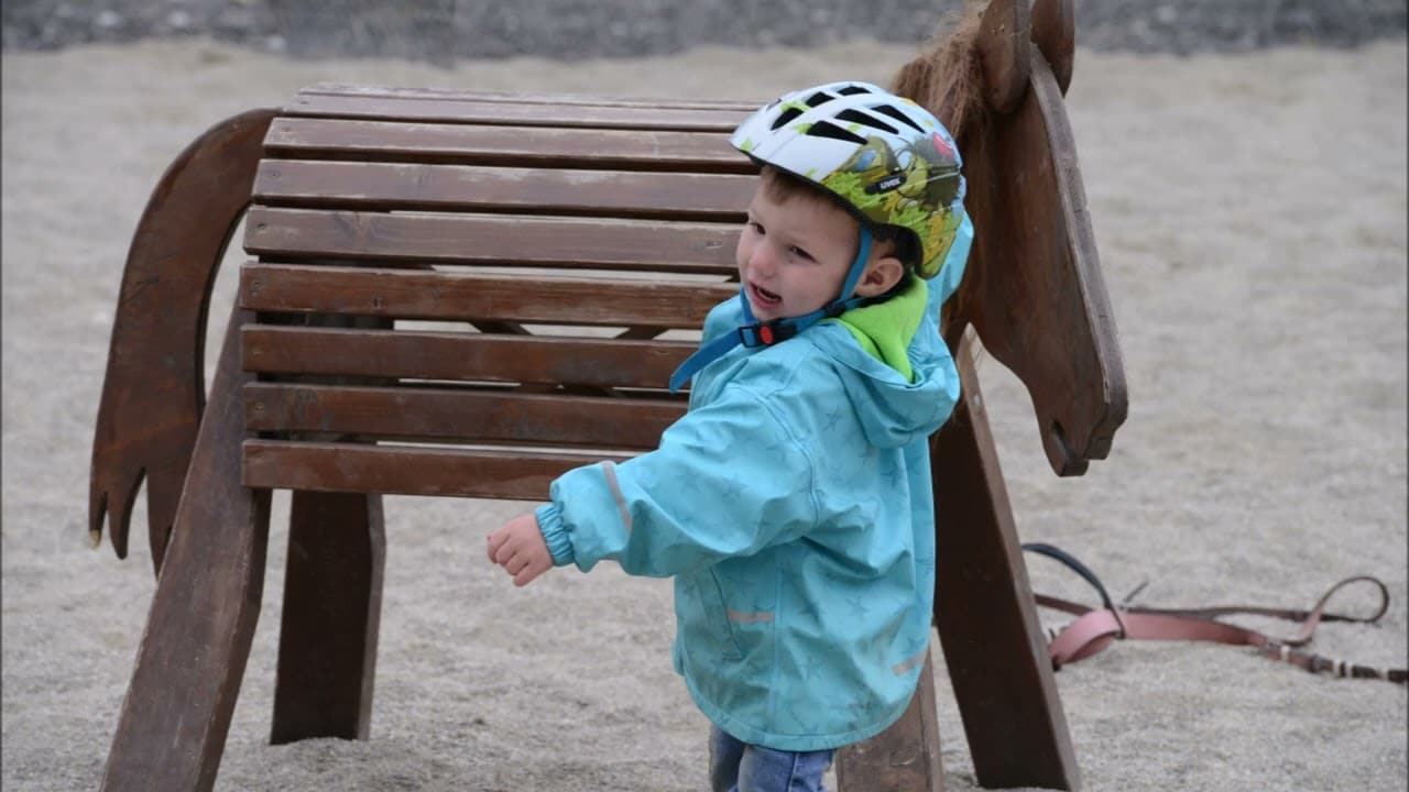 Video Thumbnail: Lehrvideo maxifit online Das Holzpferd in der Eltern Kind Gruppe